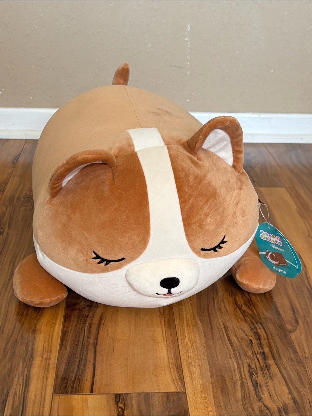 Squishmallow Cute Brown & Cream  Plush Corgi Dog named Regina